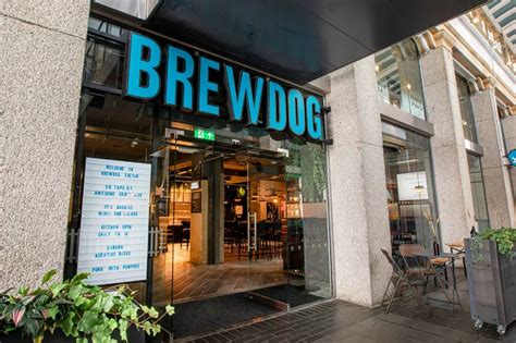 Exeter Brewdog offers Wilko workers free food and booze - Devon Live