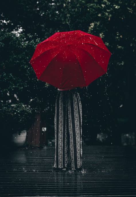 10,000+ Best Rain Photos · 100% Free Download · Pexels Stock Photos