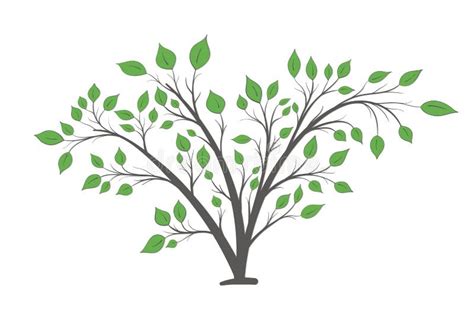 Bush with Branches and Green Leaves of Different Shapes Stock Vector ...