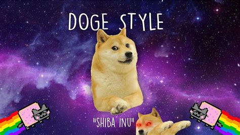 76 Doge Meme Anjing Shiba Inu