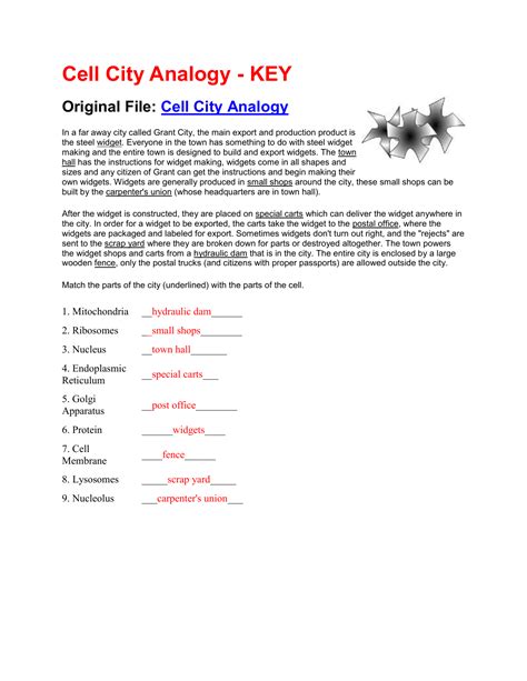 Cell City Analogy Worksheet Answers - Onlineworksheet.my.id