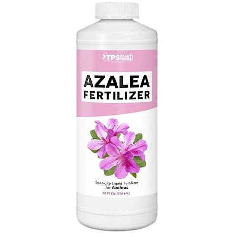 9 Best Azalea Fertilizer for 2023 | Storables