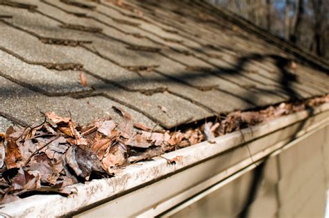 How to Avoid Leaf Blockage in Your Rain Gutters | Wizard Rain Gutters