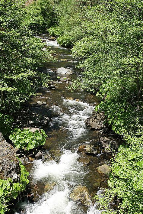 Squaw Valley Creek Trail south of McCloud - Northern California Hiking Trails