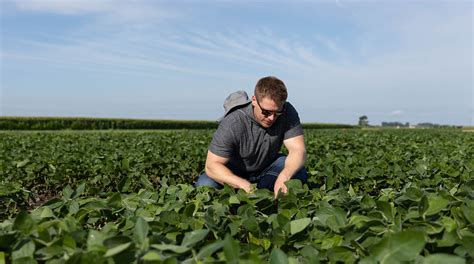 Agronomy – Graduate Certificate – Iowa State Online