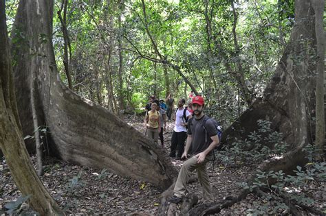 Phong Nha abandoned Abandoned valley one day trekking