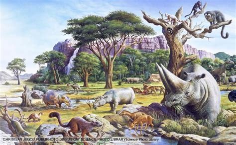 Various mammal species that existed during the Paleocene and Eocene ...