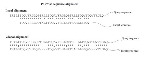 Sequence Alignment in Bioinformatics