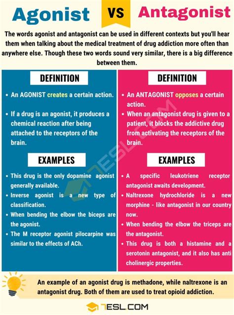 Agonist vs. Antagonist: Confusing Biological Terms • 7ESL