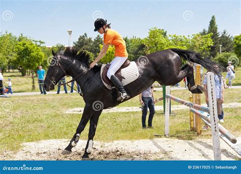 Black horse jumping editorial image. Image of dressage - 23617025