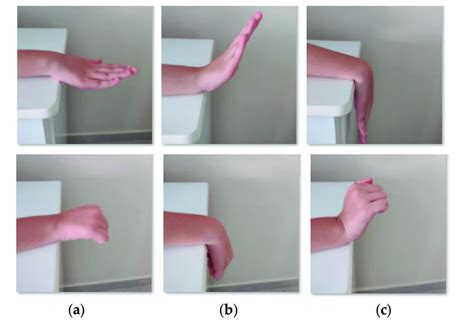 Examples of wrist flexion/extension with open and close fingers. (a ...