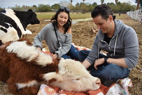 Aimee's Farm Animal Sanctuary