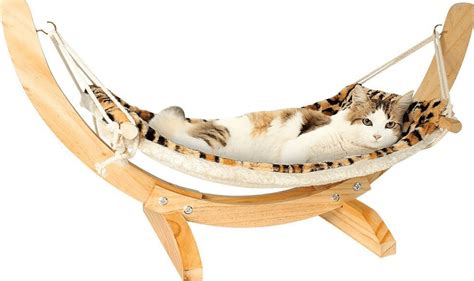 Cat hammocks – what every owner should know | meowpassion