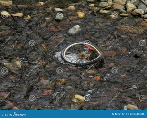 Broken Bicycle Wheel in a Frozen Creek Stock Photo - Image of bicycle, north: 131012312