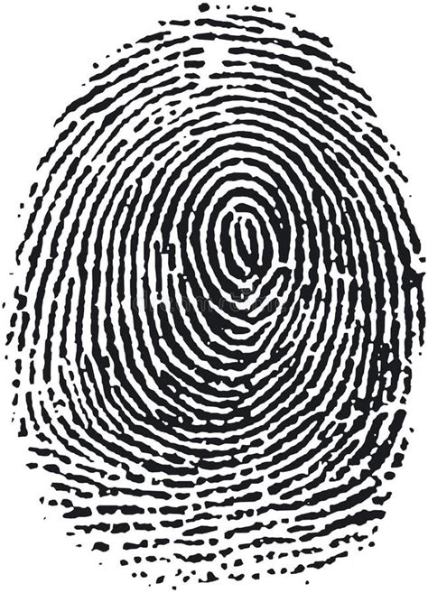 Fingerprint (16) stock vector. Image of criminal, identity - 361989