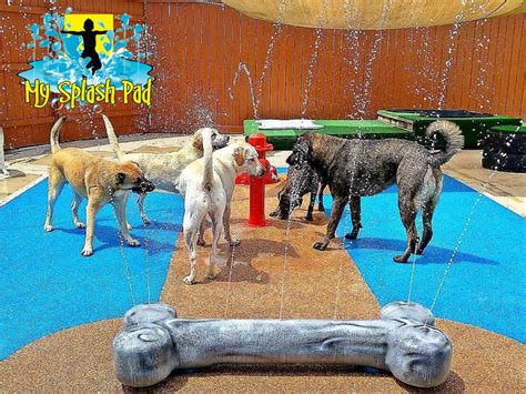 DOG WATER PARK FEATURES For Your splash pad & water play areas