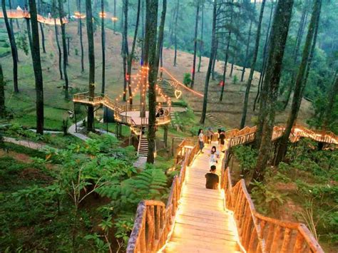 Orchid Forest Cikole, Top Things To Do and Entrance Ticket - IdeTrips