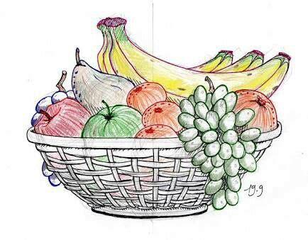 Fruit basket kids drawing | Fruits drawing, Fruit basket drawing ...