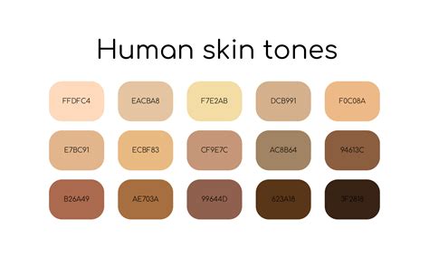 Skin tones palette by color codes. Different types human skin. Flat icon set. Vector 6683568 ...