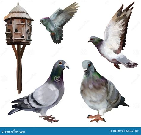 Carrier-pigeon Royalty Free Stock Photo - Image: 38204075