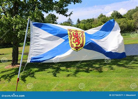 Flag of Nova Scotia stock image. Image of graphic, national - 227363571