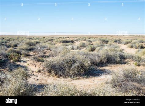 Desert scrub, South Australia Stock Photo - Alamy