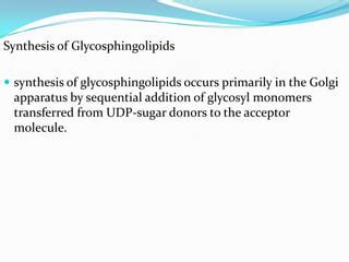 Glycolipids | PPT