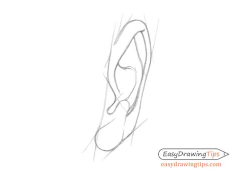 How To Draw Ears From The Front Ear front view drawing step by step