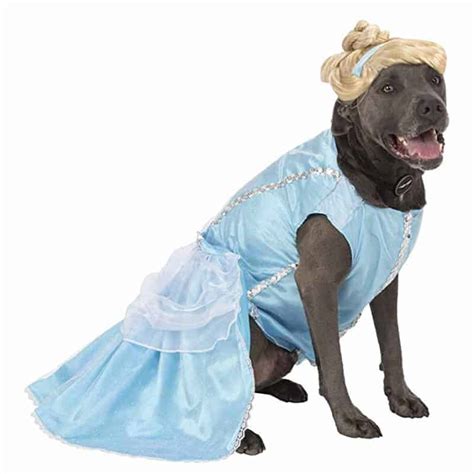 Big Dog Cinderella Disney Princess Costume - Pet Costume Center