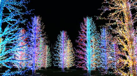 New England Christmas Light Show Listed Among Best In The World | iHeart