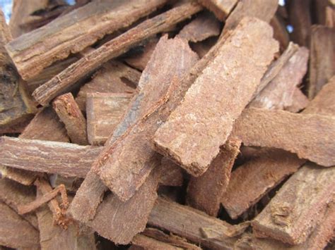 Mahogany Bark for Infusion Traditional African Medicine - Etsy