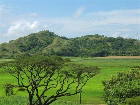 Palo Verde National Park (Province of Guanacaste) - 2021 All You Need to Know BEFORE You Go ...