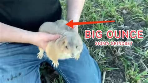 Big Ounce being a Sigma for 6 minutes #urbanrescueranch - YouTube