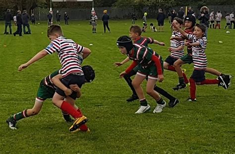 Birkenhead Park RFC - Minis 2021