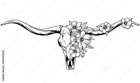 Texas longhorn black and white vector illustration. Longhorn skull with ...