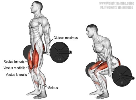 √ Barbell Hack Squat Form