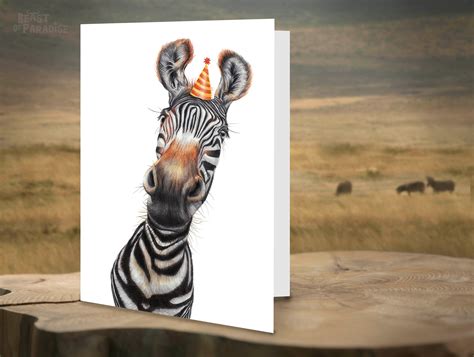 Funny Birthday Animal Cards Set of 6 Greeting Cards - Etsy