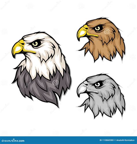 Ensemble D'aigles Logo D'aigle Chauve Dessin Sauvage D'oiseaux Tête D'un Aigle Illustration de ...