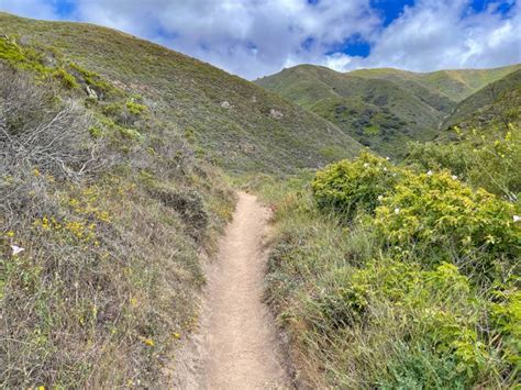 19 Best Hikes in Big Sur, California (Complete 2024 Guide!) - Roadtripping California