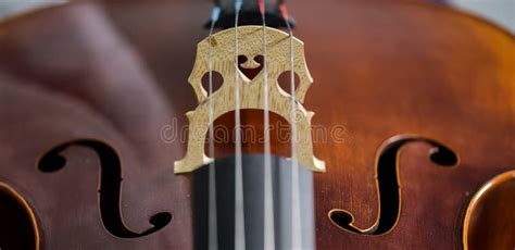 Cello strings closeup stock image. Image of antique, instrument - 69590671