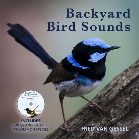 Backyard Bird Sounds with CD