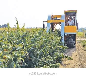 Coffee Harvester Picker/harvesting Picking Machine - Buy Coffee ...