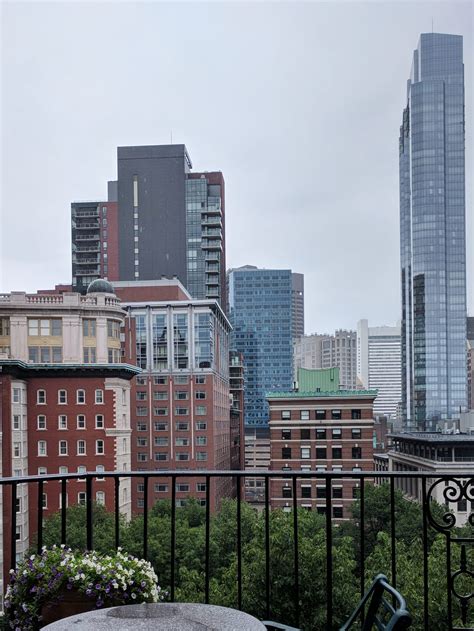 Oldest Library in Boston: Guide to the Boston Athenaeum | Roaming Boston