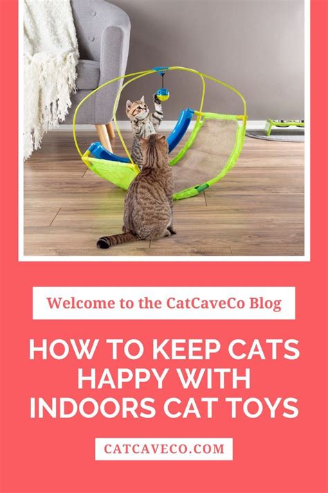 Best Cat Toys for Indoor Cats | Cat toys, Indoor cat, Cat activity
