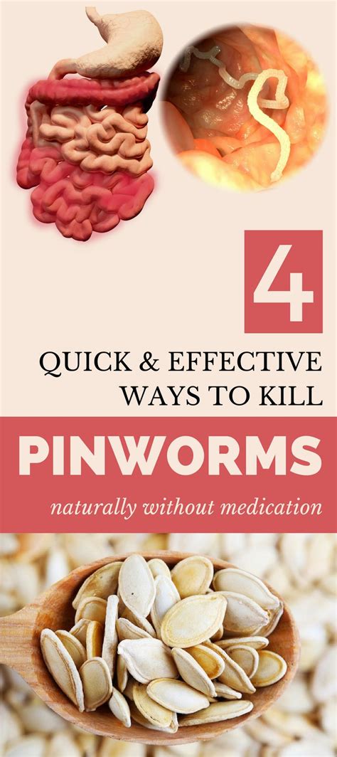 4 Quick & Effective Ways to Kill Pinworms Naturally without Medication | Home remedies for ...