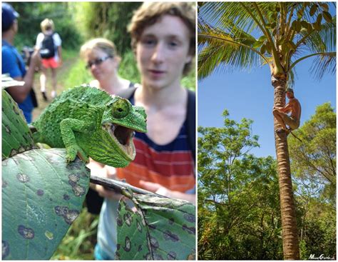 Maui Hiking Tours | Photos & Local Tips for Maui Guided Tours