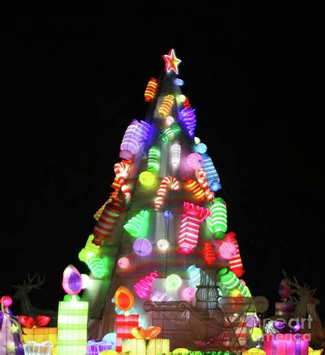 Magical Christmas Tree. Photograph by Doc Braham - Fine Art America