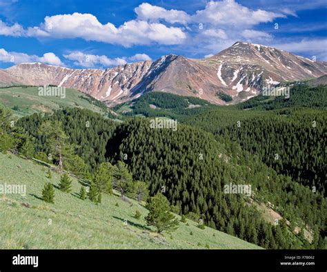 lima peaks and foothills near lima, montana Stock Photo - Alamy