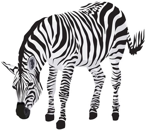 Zebra Clip Art Free