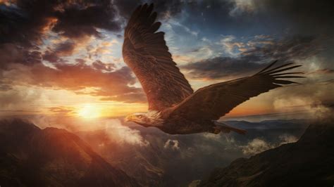 Download Mountain Sunset Eagle Animal Bald Eagle 4k Ultra HD Wallpaper ...